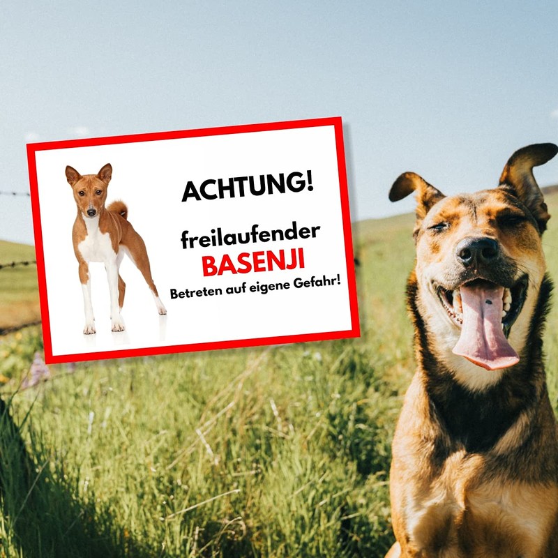 Basenji Freilauf Dog Sign with German Text "Freilauf Dog" [Free