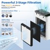 LINNIW TZ-K2 Replacement Filter Compatible with ToLife Air Purifier TZ-K2,