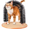 Cat Scratch & Grooming Arch