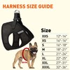 Dogline Boston Step in Mesh Dog Harness with Nose Work