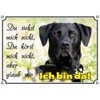 A noble dog sign with a black labrador retriever -