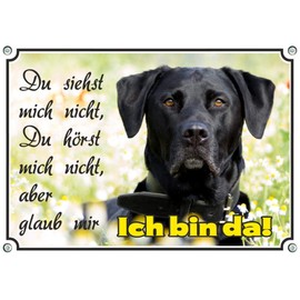 A noble dog sign with a black labrador retriever - top warning sign UV-resistant, DIN A4