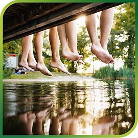 Polvo de pie y espray para plantación de árbol de té, ayuda a prevenir el olor y el sudor de los pies, Tea Tree Foot Powder                           