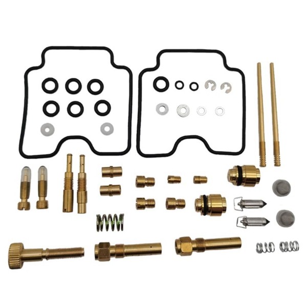 Canyoyi Carburetor Carb Repair Rebuild Kit for Yamaha Raptor YFM