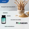 PRONACEN Raíz Herbal Ayurvédica duo | 2 pack suplementos ayurvédicos