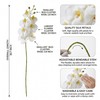 Artificial Phalaenopsis Orchids Flowers，Realistic Fake Flowers Decor，White