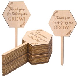 30Pcs Let Grow Succulent Tags Wedding Favors, Hexagon Plant Sticks Wooden Stake Signs for Wedding Bridal Shower Baby Shower Anniversary Succulent Party Favors