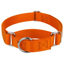 Country Brook Design Collar para perros Country Brook Petz Martingale - Collar de entrenamiento resistente sin hebilla - Collar para perros de servici