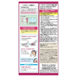 Hoyu Begen Speedy Color Cream 2 (Brighter Light Brown) 1.4 oz (40 g) + 2 1.4 oz (40 g)