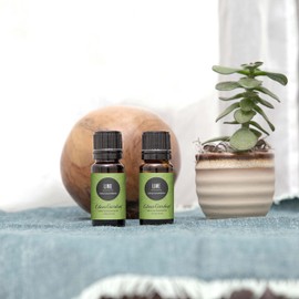 Edens Garden Lime Essential Oil, 100% Pure Therapeutic Grade (Undiluted Natural/Homeopathic Aromatherapy Scented Essential Oil Singles) 10 ml