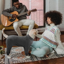 CITÉTOILE One-Piece Recovery Suit for Dogs, Pet Long Sleeve Recovery Suit After Surgery, Dog Belly Wound Protection Suits, E-Collar Alternative, Pet Pyjamas for Large Dogs, Grey, 3XL