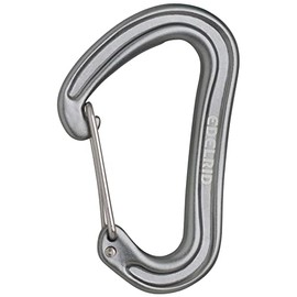 EDELRID Nineteen G II Carabiner (Express Carabiner, Normal Carabiner, Base Carabiner), Colour: Slate