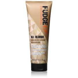 Fudge Professional All Blonde Color Lock Shampoo 250ml