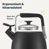 SILBERTHAL Induction Kettle 2.8 L - Stainless Steel Tea Kettle