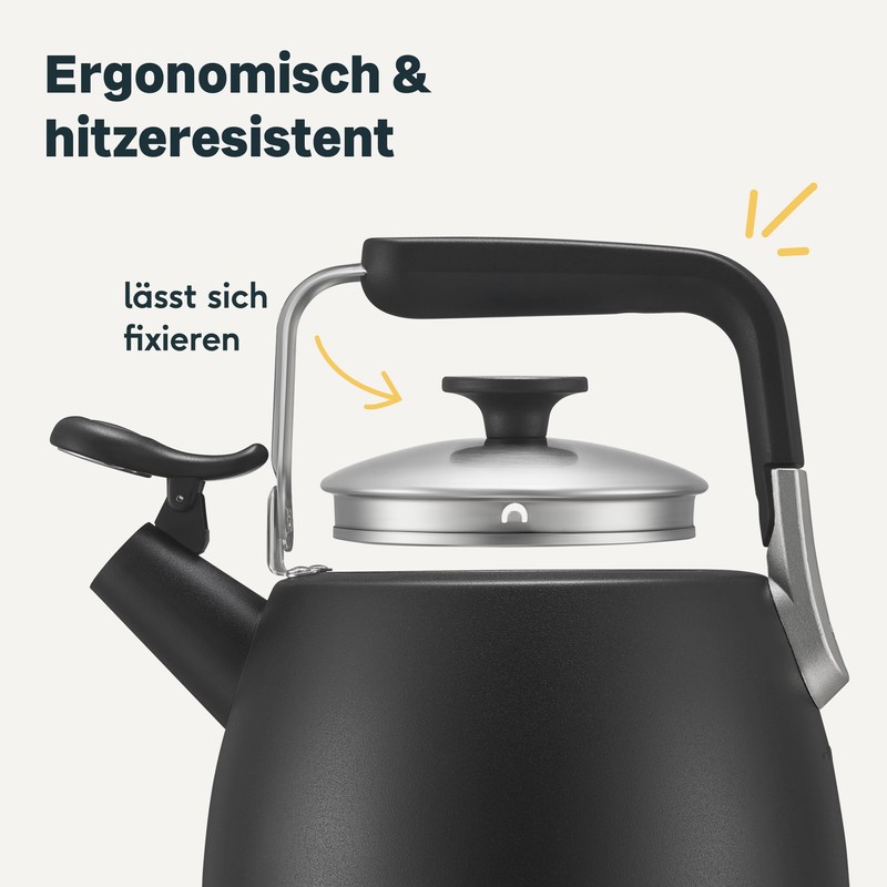 SILBERTHAL Induction Kettle 2.8 L - Stainless Steel Tea Kettle