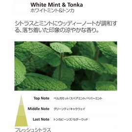 Millefiori [NATURAL] フレグランスディフューザー (S) ホワイトミント DIF-S-030