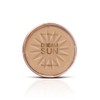 Gemey Maybelline Dream Sun Bronzing Powder 02 Sun Glow