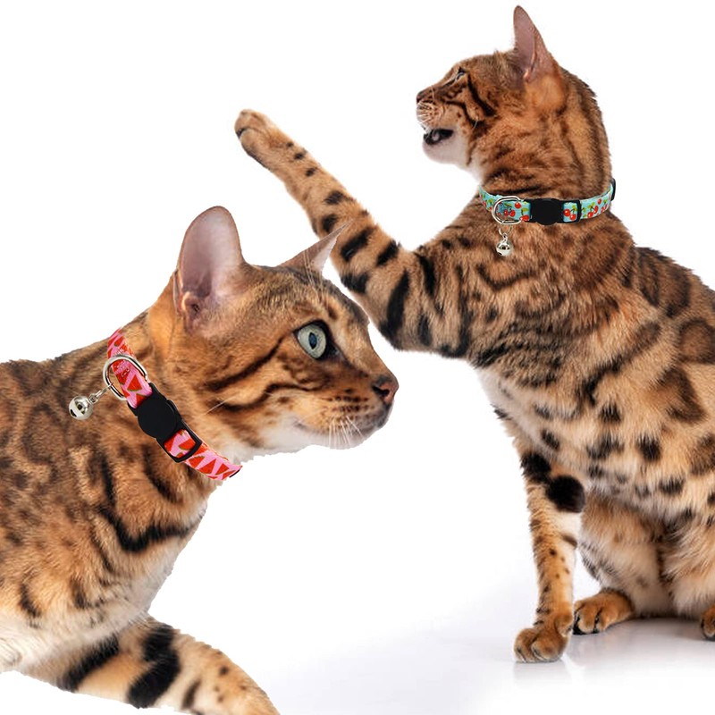 3 Pack Fruit Cat Collar with Bell Safety Breakaway Kitten