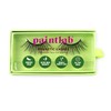 PaintLab Synthetic Lashes, False Eyelashes Natural Look, Lightweight Reusable Lash
