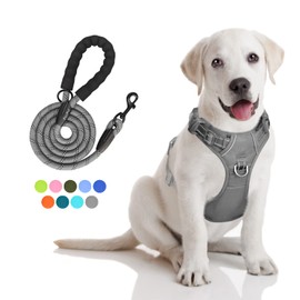 PoyPet No Pull Dog Harness and 5 Feet Leash Set, Release on Neck Reflective Adjustable Pet Vest, Front & Back 2 D-Ring and Soft Padded Pet Harness with Handle for Small to Large Dogs(Grey,S)