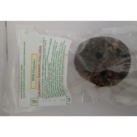 BSD Organics SweetY Sweet Round Palm Jaggery/Jaggery Balls/Pana Vellam/Karupatti Vellam - 500 Gram / 17.6 ounce