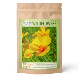 Mexican Poppy Wildflower Seeds – 1,600 Non-GMO Seeds | Attracts Pollinators & Thrives in Full Sun | Wildflowers for Gardens, Meadows & Eco-Friendly Landscapes - Created By Nature
