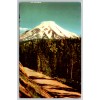 c1960s Mt. St. Helens Washington Spirit Lake Highway 99 Postcard
