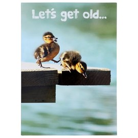 Ducklings On Dock Funny Birthday Card