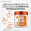 BALLISTIC SUPPS - AMINO RELOAD - All Day Recovery BCAA