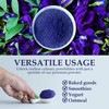 Holistic Depot Butterfly Pea Flower Powder - 100% Natural Butterfly