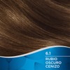 Wella Deluxe Tinte Permanente 6.1 Rubio Oscuro Cenizo, 207 g