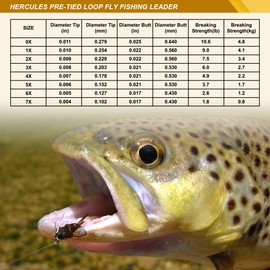 HERCULES Pre-Tied Loop Fly Fishing Leader 6 Pack with Tapered Leader Wallet, 7.5FT - 2X 3X 4X