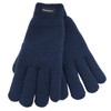 Rjm Ladies Knitted Thinsulate Lined Gloves Blue