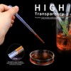 BITEFU 150 pcs Pipettes 5 ml Dropper Transparent Plastic Pipettes