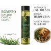 2 Shampoo Natural Romero Acelera Crecimiento Cabello Brillo