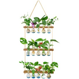 XXXFLOWER Wall Hanging Propagation Station with Wooden Stand 5 Bulb Vase 3 Tiered Planters Wall Terrarium for Home Office Plant Hanger Flower Vases Wall Decor