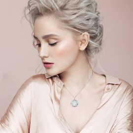 Dreamboat Elephant Necklace Sterling Silver Cute Animal Elephant Pendant Crystal Necklace Valentines Birthday Jewelry Gift for Women Friend 18"+2" Chain