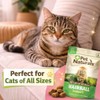 Suplemento Gatos Hairball Chew Control Bolas de Pelo y Salud