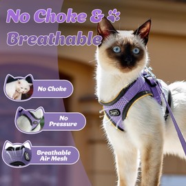 Supet Cat Harness and Leash Set - Soft Mesh Adjustable Cat Vest Harness with Reflective Strap for Walking Cat and Puppy Rabbit