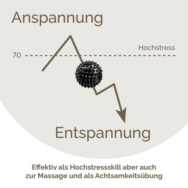 2 x DBT Skills Hedgehog Ball Magnetic High Stress Acupressure