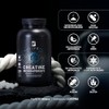 B Life Creatina Monohidratada Micronizada. 240 Cápsulas. Alta Pureza Sin