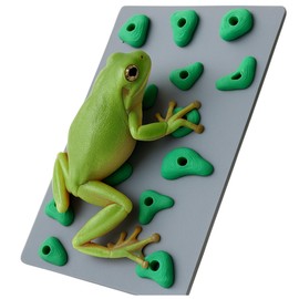 Mini Rock Climbing Wall for Frogs – Amphibian Enrichment and Habitat Décor – Fun Activity Wall for Tree Frogs, Dart Frogs, and Small Amphibians