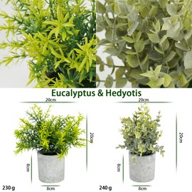 LAGAHS 5PCS Fake Plants, Small Artificial Plants Indoor, Mini Faux Eucalyptus Hedyotis Short Needle Grass Desert Rose Succulent Potted Greenery for Home, Room and Desk Decor