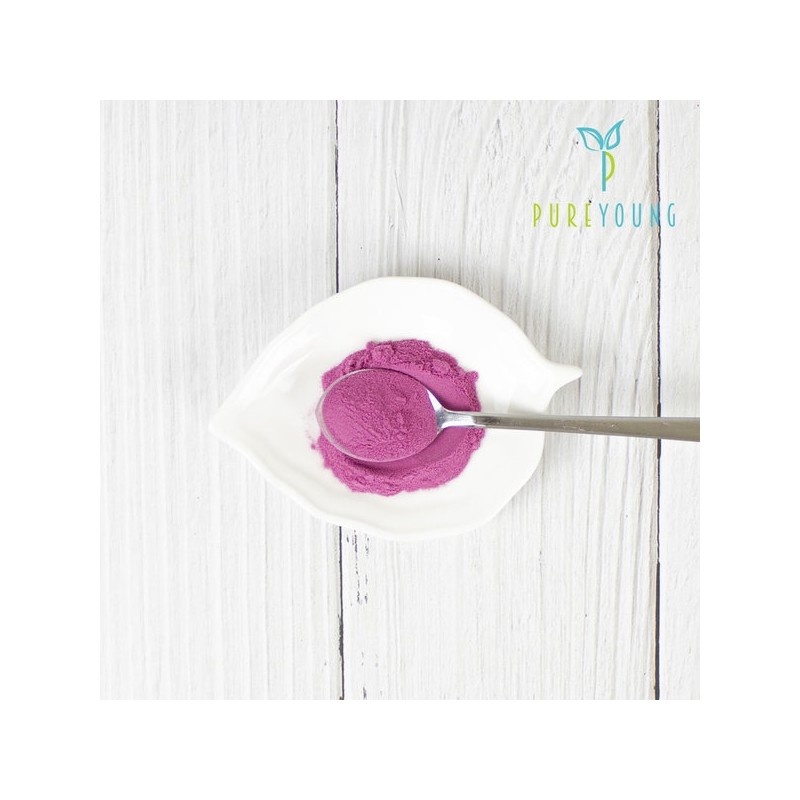 Blueberry concentrated powder 200g+200g / 블루베리농축분말 200g+200g