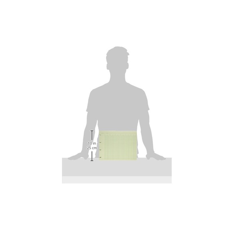 Wilson Jones Green Columnar Ruled Ledger Paper, Double Page Format,