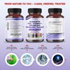 PEAKPURY Quercetin Elderberry Turmeric Vitamin C Zinc - Immunity Support
