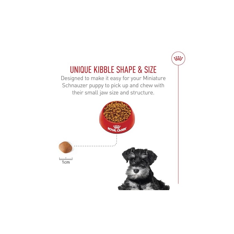 ROYAL CANIN, Puppy - Mini Schnauzer, Croquetas Perro, 1.1kg