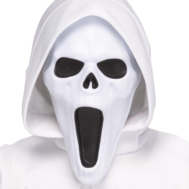 Fun World The Banshee Ghost Child Costume, Medium 8-10