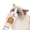 2Pcs Cat Strip Feeder Spoon, Cat Treat Spoon Squeeze for