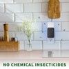 Indoor Plug-in Fly Traps - Insect Catcher for Flies, Mosquitoes,